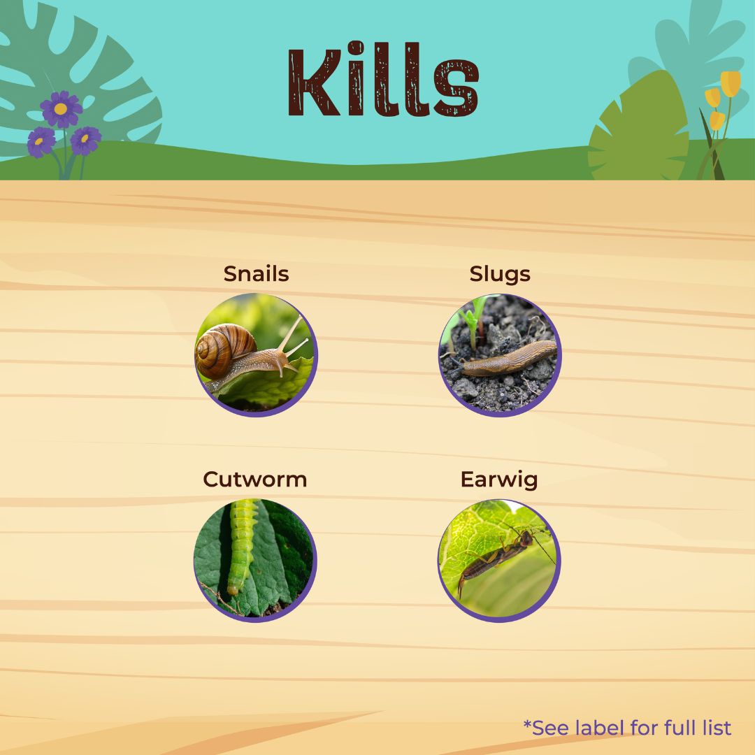 Bug & Slug Killer – Bonide – 1.5 lb